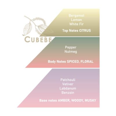 Sticlă Apa de Parfum Cubebe Saponificio Varesino 100ml cu piper de Java PIRAMIDA OLFACTIVA