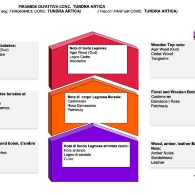 Săpun de ras Saponificio Varesino Tundra Artica în bol aluminiu cu lichen islandez - piramida olfactiva